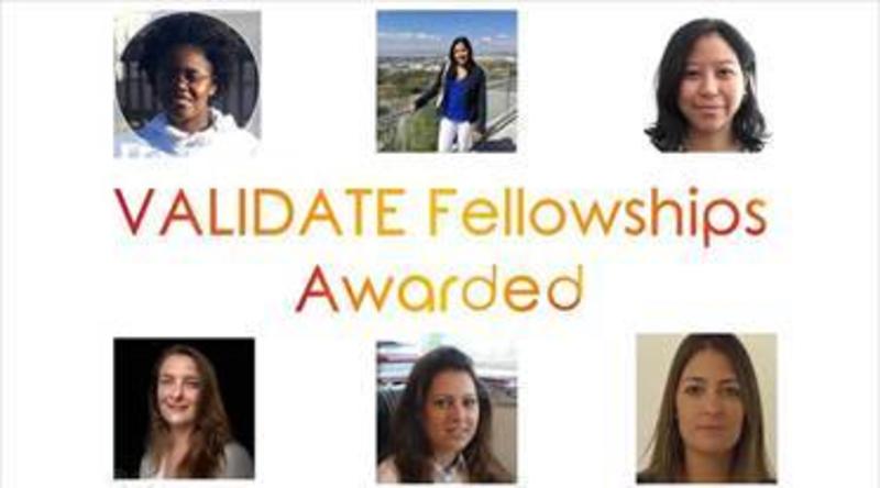 Fellows 2024 - 2026