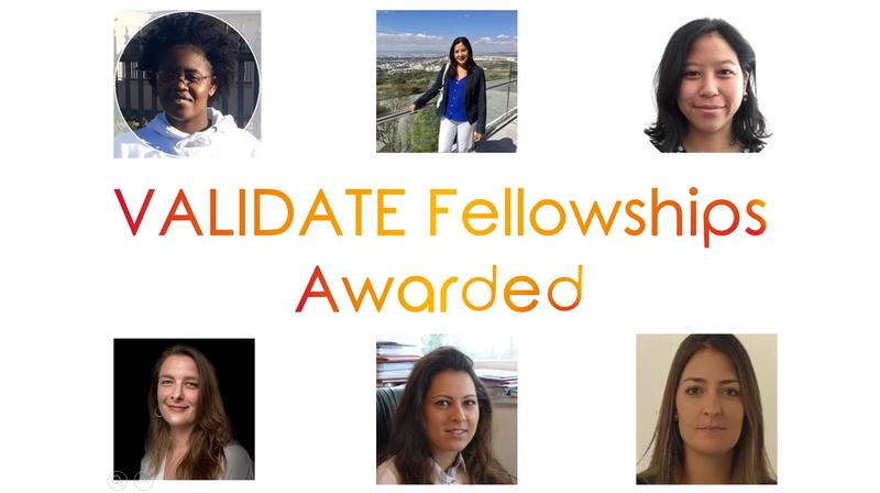 Fellows 2024 - 2026