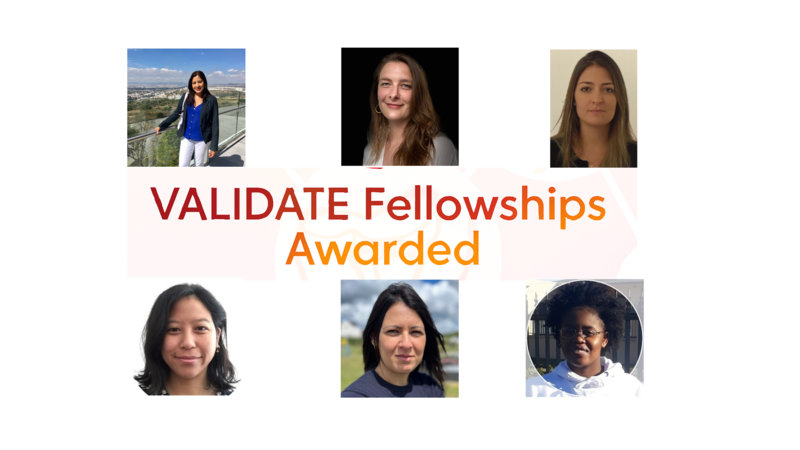 fellows awarded 24 26