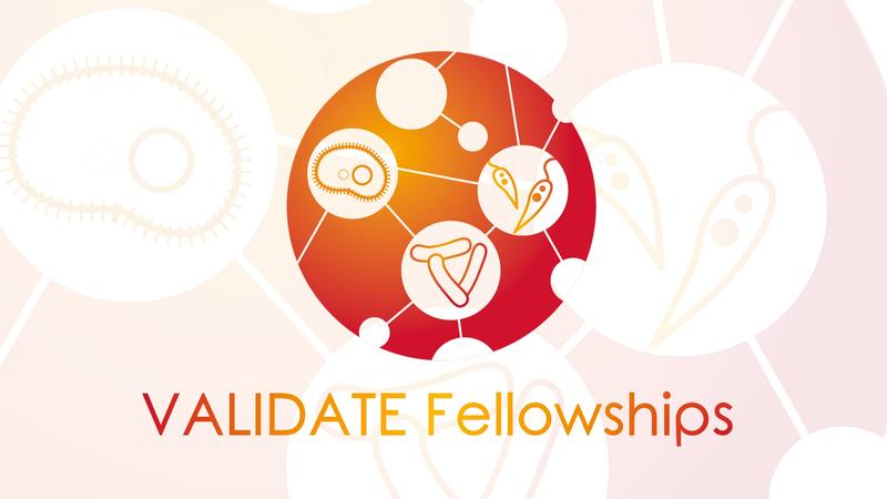 validate fellowships
