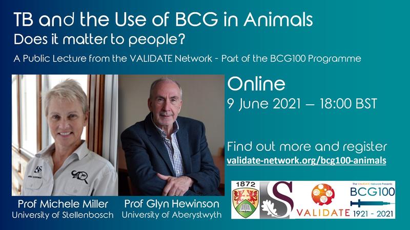 Bcg100 animals bcg100 animals