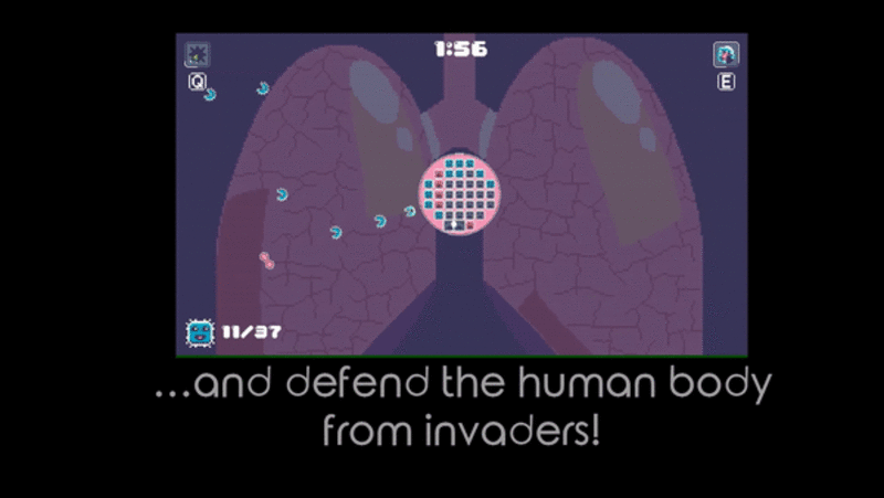 Bcg adventures gif bcg adventures gif