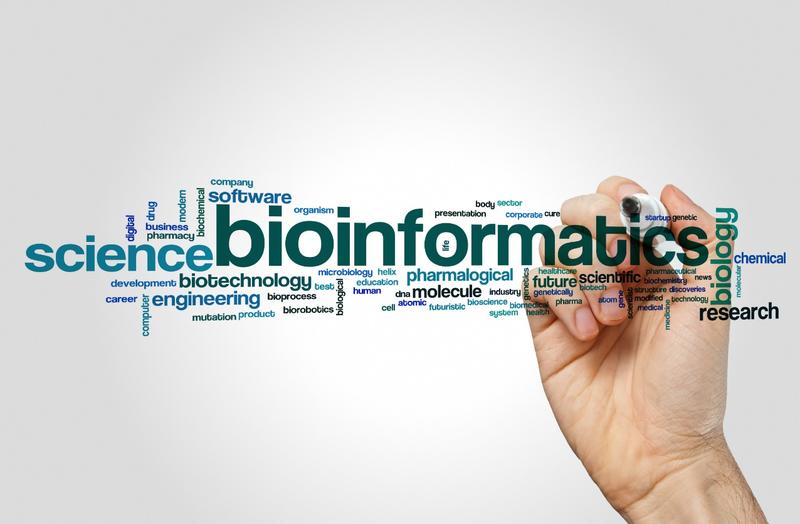 Bioinformatics Bioinformatics