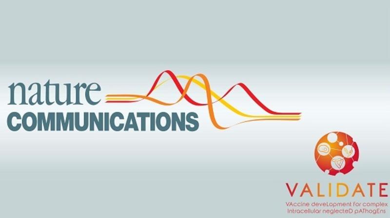 nature communications validate logo