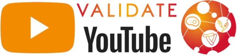 validaye youtube