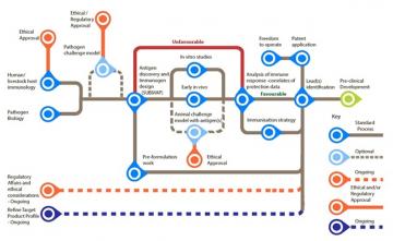 MRC Vaccine Discovery Routemap