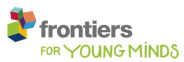 frontiers in young minds