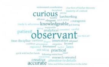A word cloud of the feedback ivvn word cloud