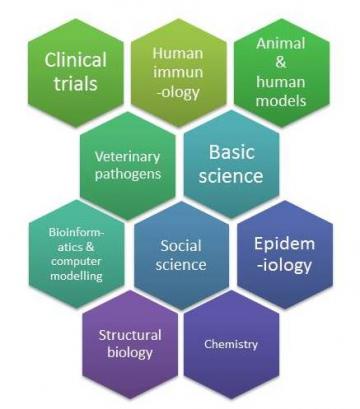 VALIDATE member research expertise