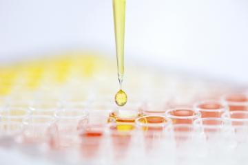 Pipette Pipette