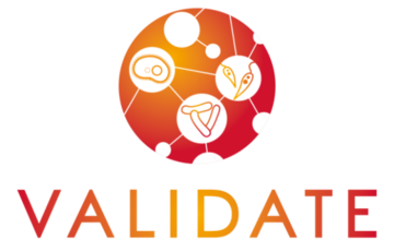 VALIDATE logo