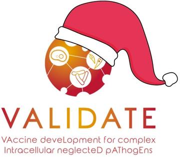 validate christmas