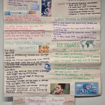 VALIDATE for Schools 2026 - Poster