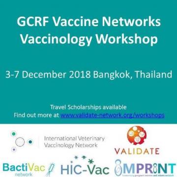 GCRF Vaccine Networks Vaccinology Workshop