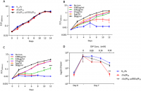 sufrtb fails to grow under a low iron condition sufrtb fails to grow under a low iron condition