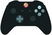 BCG Adventures BCG Adventures
