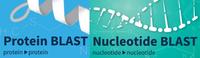 Blast logo blast logo