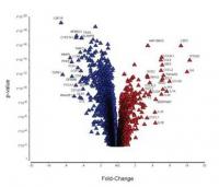 Infection with Burkholderia pseudomallei - immune correlates of survival in acute melioidosis