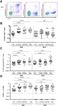 Age-related warning of immune responses to BCG in healthy children