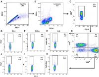 gating strategy for analysis of multifunctional t cells