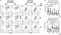 Glibenclamide reduces primary human monocyte functions against tuberculosis infection Glibenclamide reduces primary human monocyte functions against tuberculosis infection