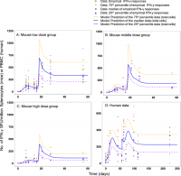 ifn y responses