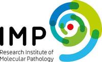 IMP logo