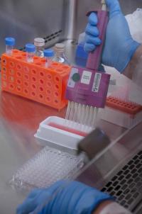 Pipetting (credit: CDC) Pipetting (credit: CDC)