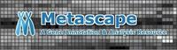 Metascape logo metascape logo