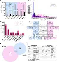 Peptide identification and selection of vaccine candidates