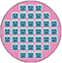 WTYIS Cells