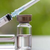 Vaccine Vial and Syringe Vaccine Vial and Syringe