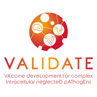 VALIDATE logo