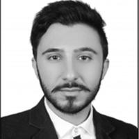 Faham Khamesipour