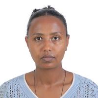 Fregenet Tesfaye Tegegn Fregenet Tesfaye Tegegn