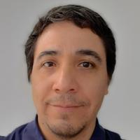 Mario Alberto Flores-Valdez | The VALIDATE Network