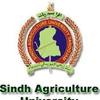 Sindh Agriculture University Tando Jam logo Sindh Agriculture University Tando Jam logo