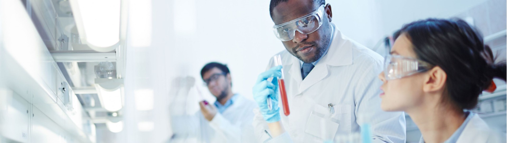 Researchers working in the lab