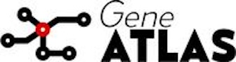 resized-gener_atlas