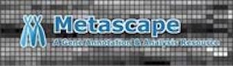 resized-metascape_logo