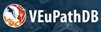 resized-veupath_db_logo
