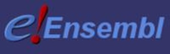 resized e_ensembl_logo
