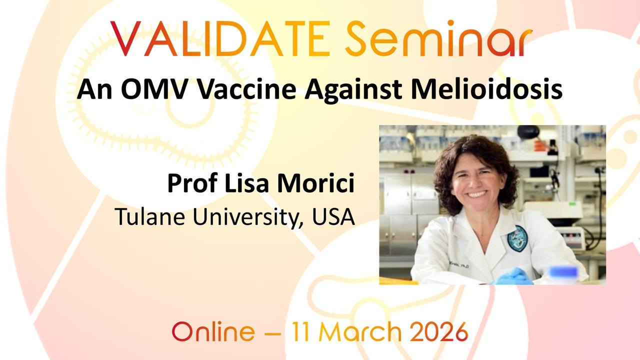 An OMV Vaccine Against Melioidosis