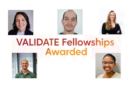 Fellows 2025 - 2027