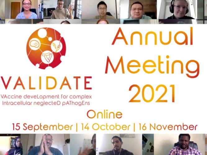 Annual Meeting 2021