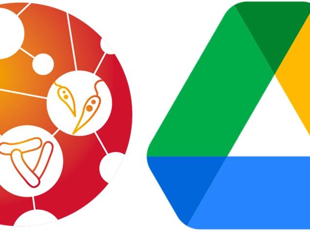 validate google drive