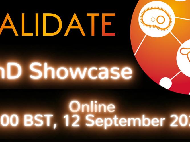 validate phd showcase