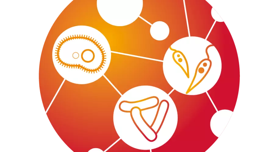 VALIDATE logo