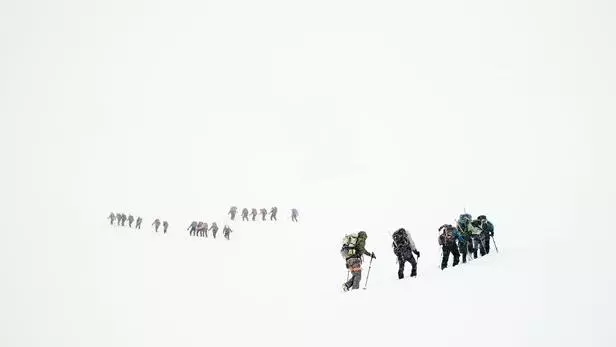 Teams climbing a mountain