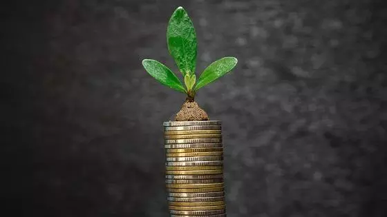 growth